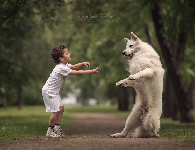 Dance With Mephoto preview