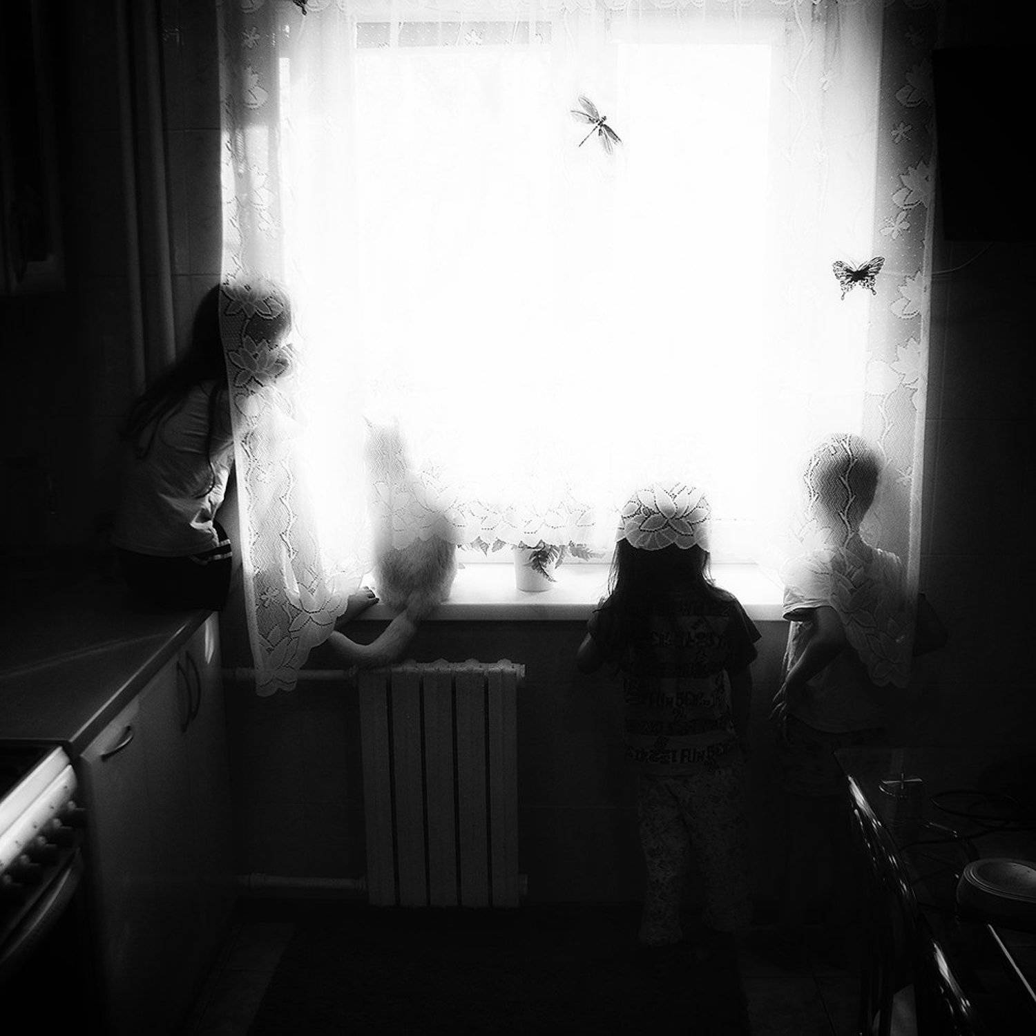 Кот и его друзья. Автор: Сидоренко Алексей , Сидоренко Алексей