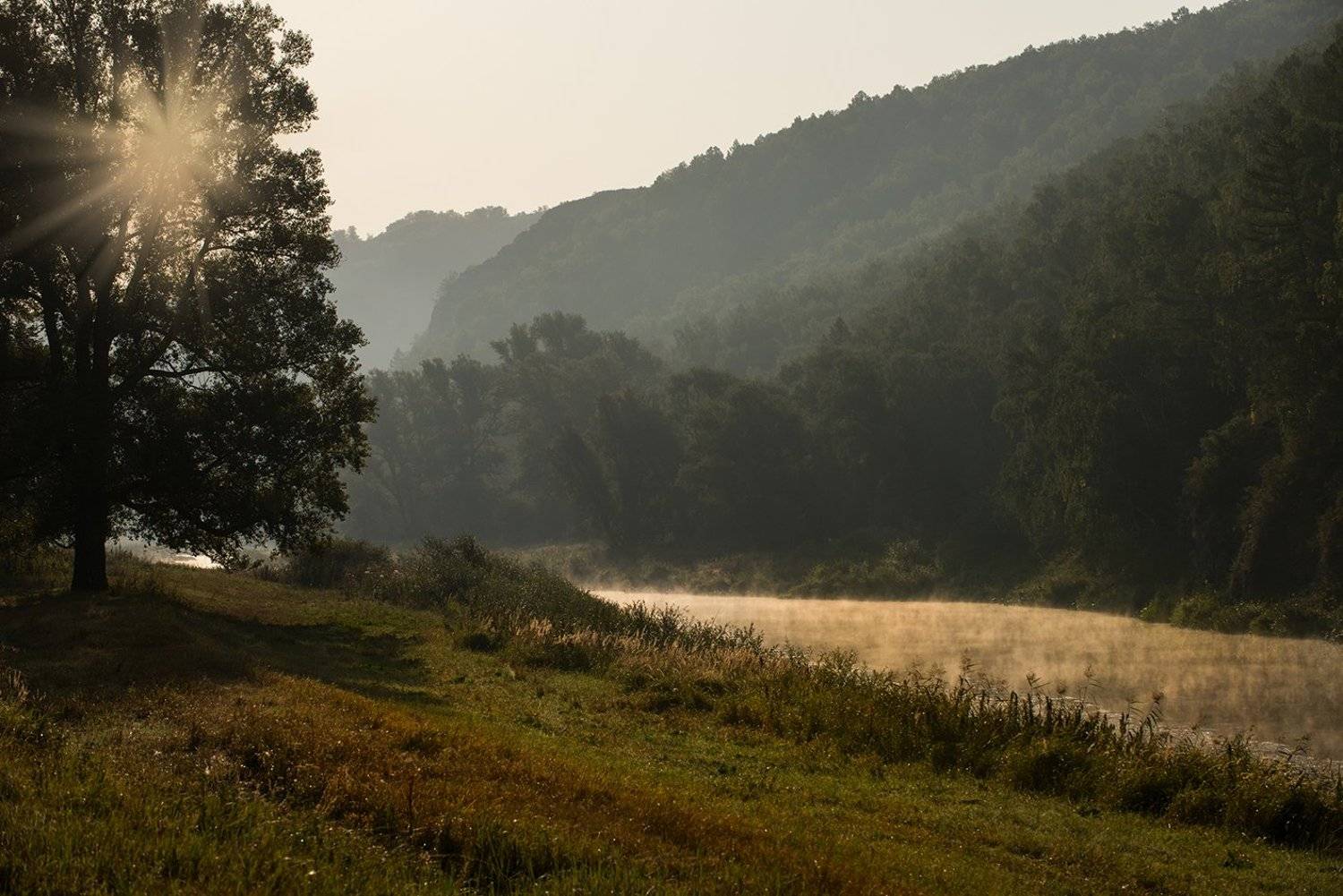 , Орлов Михаил