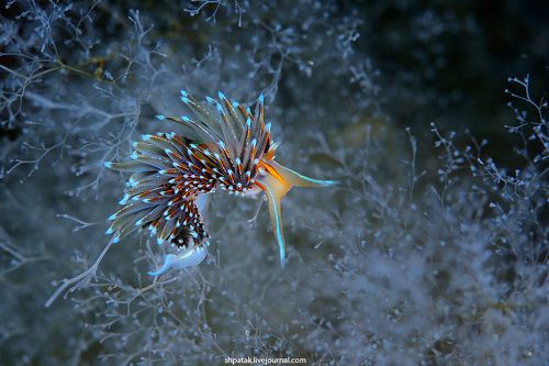 UW Photo Challenge 2018. То что я посылал, но не прошло.(((