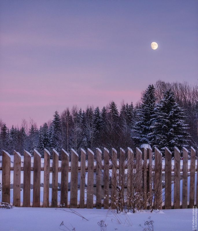 зима, вечер, снег, луна, забор, лес, село, чупино, пермский край Behind the fence фото превью