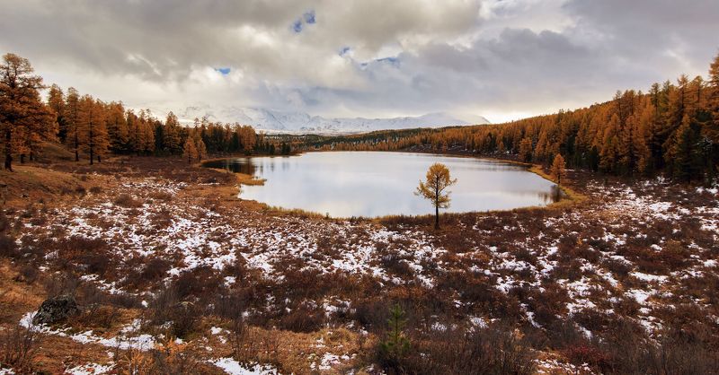 Киделюphoto preview