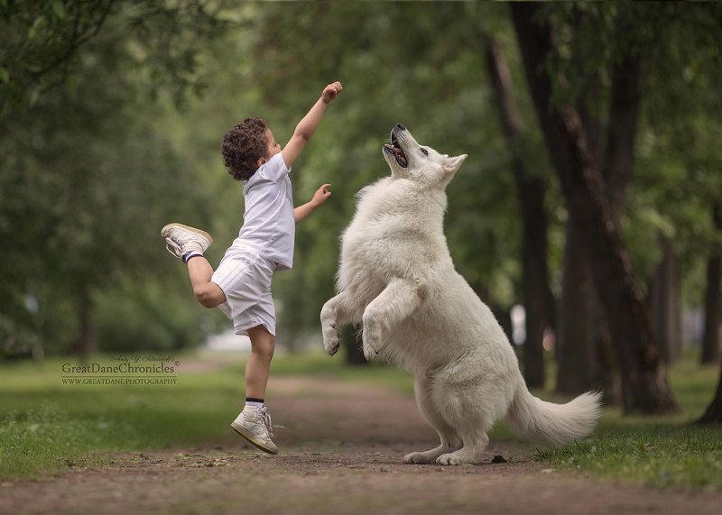 Dance With Me - 2photo preview