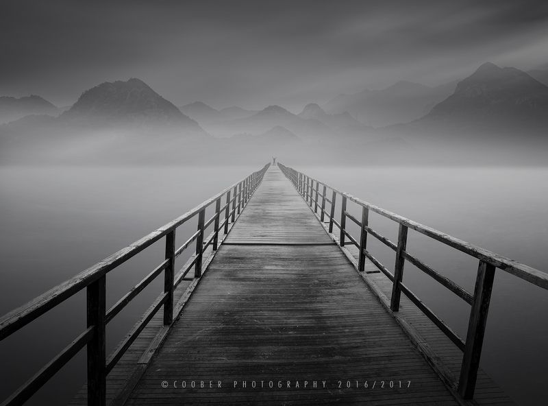 Freelance Photographer,Brand Designerphoto preview