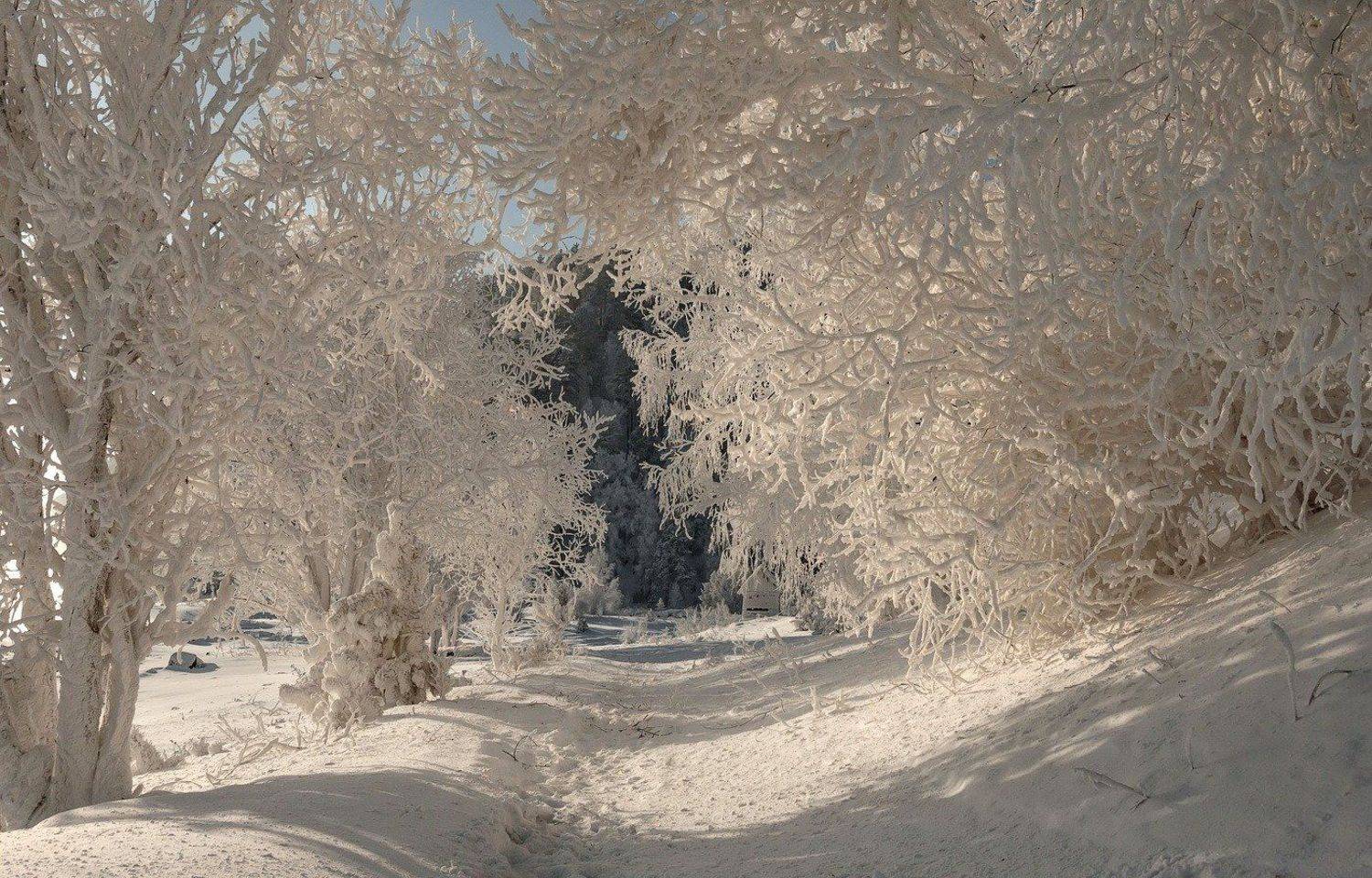 Кружево зимы.. Автор: Марина Фомина мороз. берег. изморозь., Марина Фомина