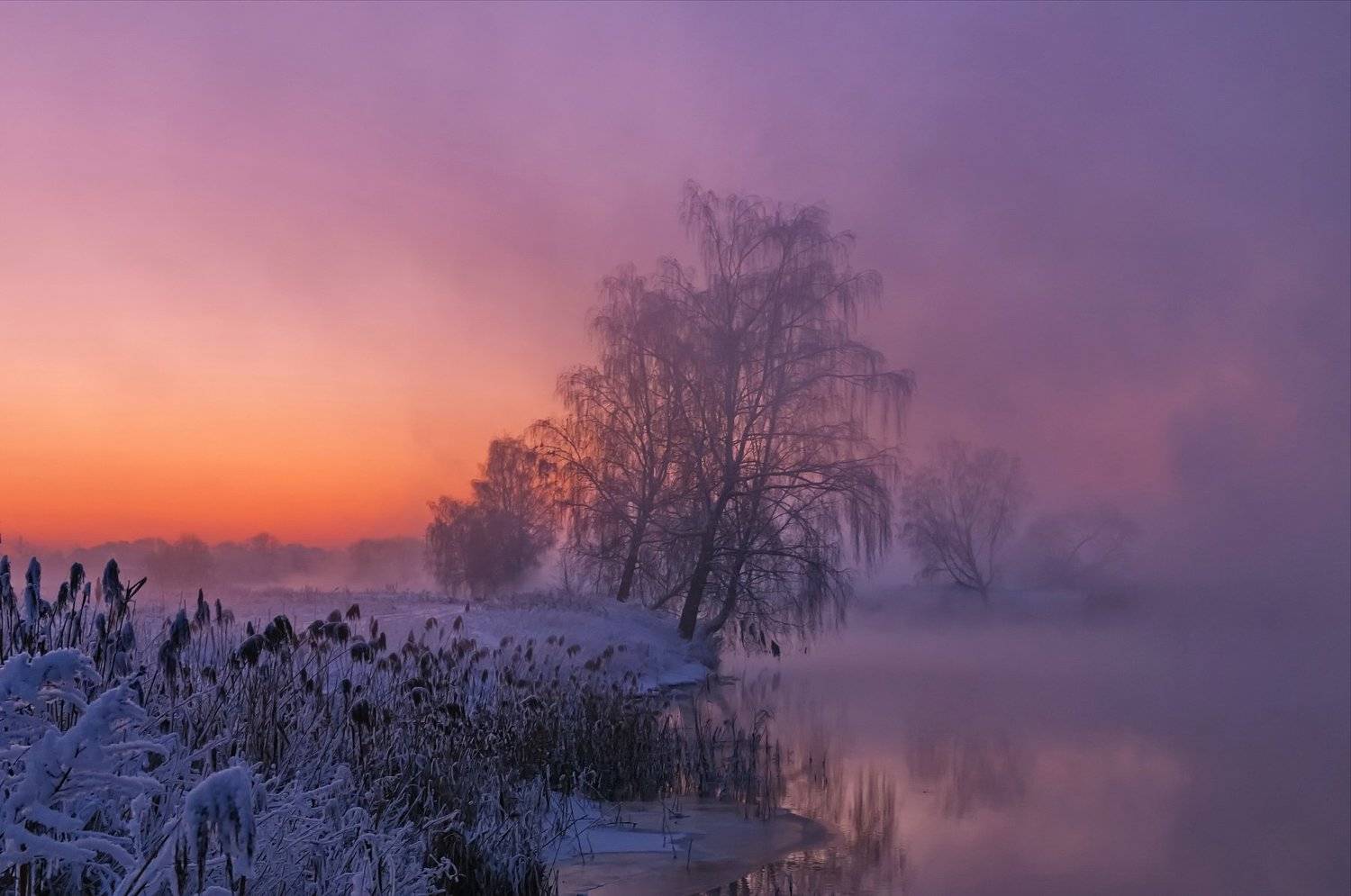 зима, закат, свислочь, беларусь, туман, Александр Гвоздь
