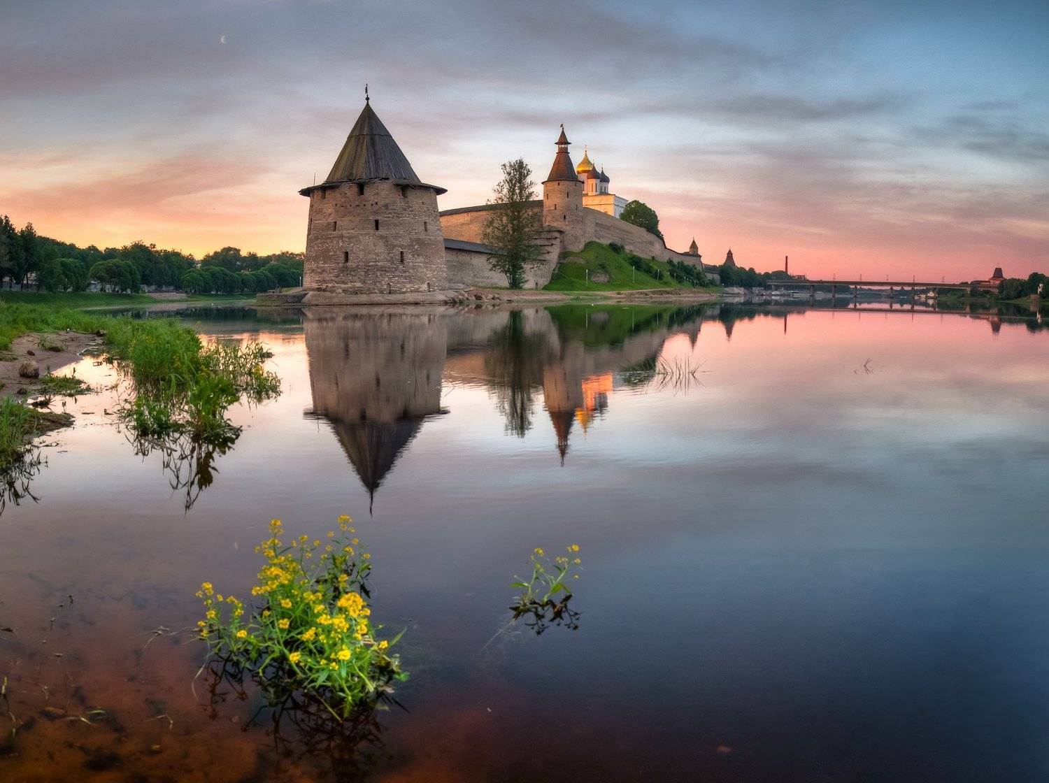 псков, Roman Dmitriev