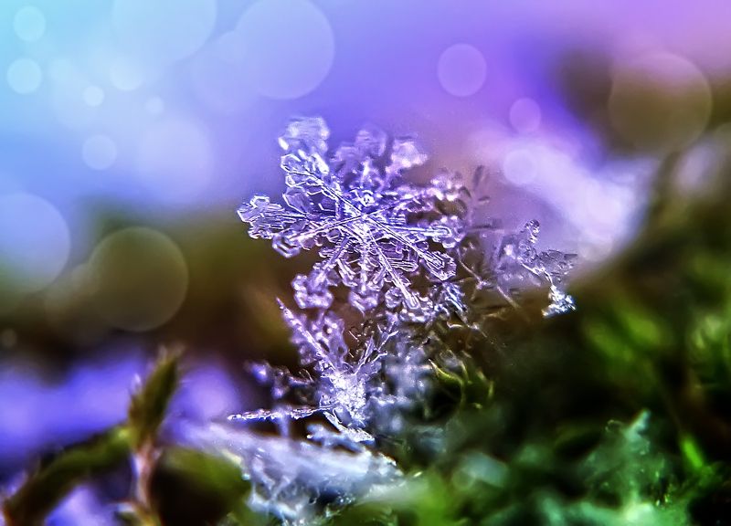 макро,снежинка Зимняя сказкаphoto preview