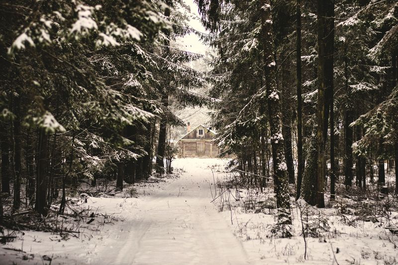 nature, snow, winter, nikon **photo preview