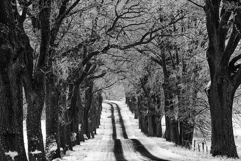 ПОВОРОТphoto preview