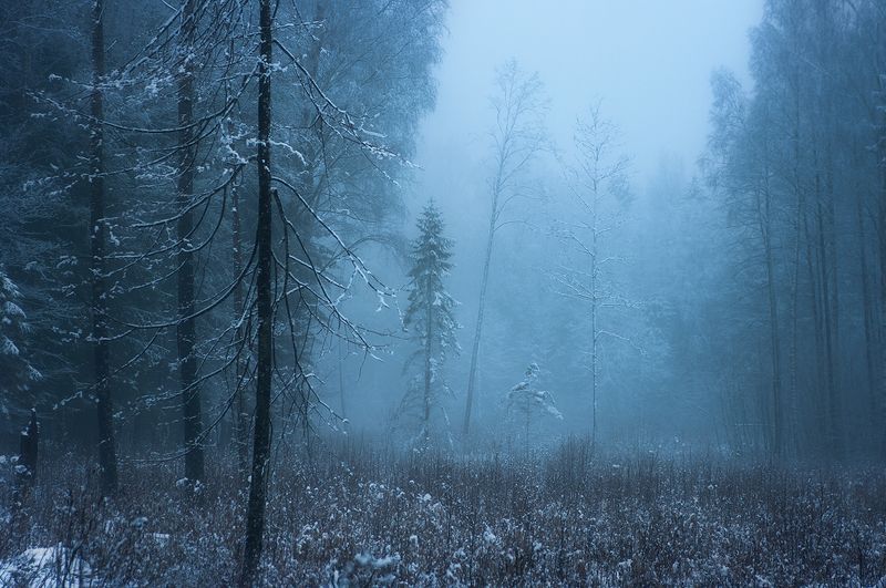 Silent winterphoto preview