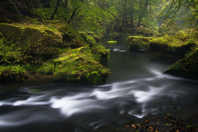 Kamenicephoto preview