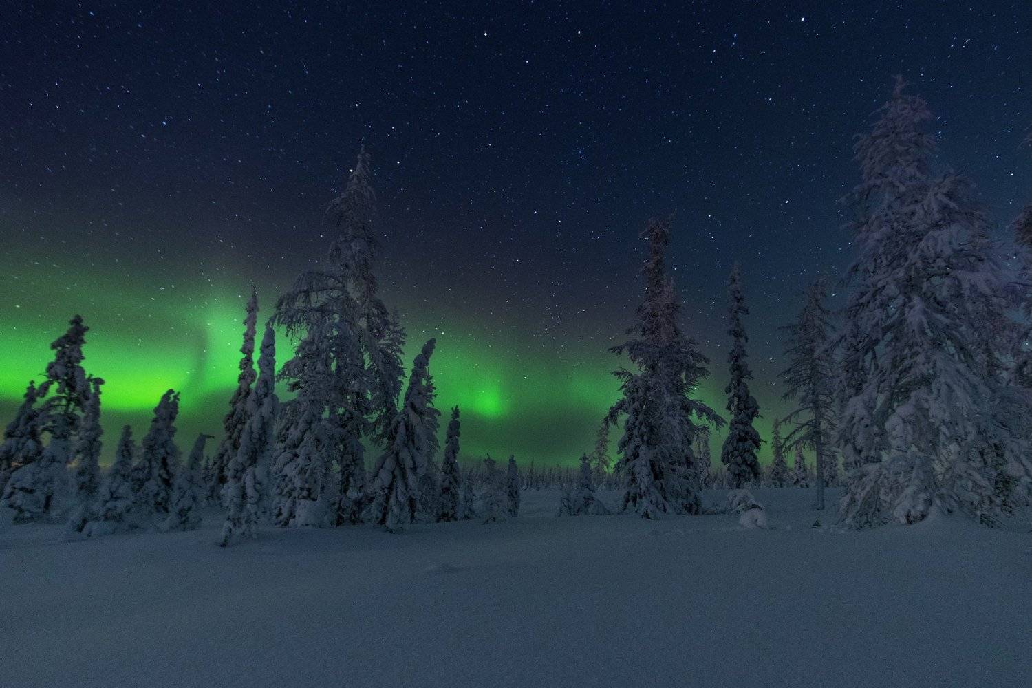 "Aurora ". Автор: Настя Братка ямал , зима , природа, салехард ,сибирь, ямал ,север, сияние, аврора,северное сияние, Настя Братка