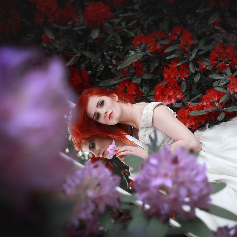 Fotografiephoto preview