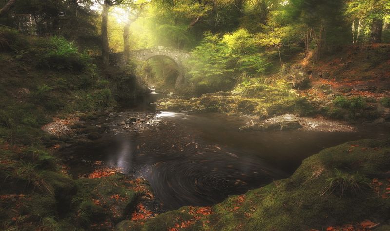 Краски осени!photo preview