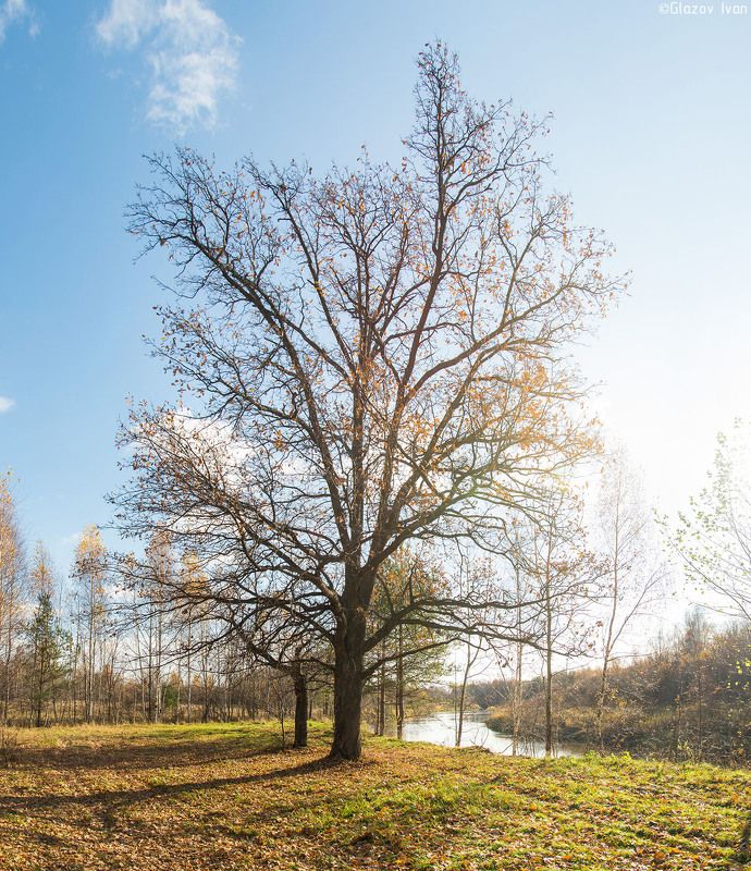 вспомним осеньphoto preview