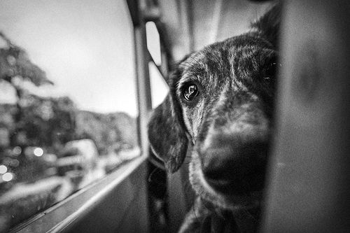 Привет, меня зовут Пепи!