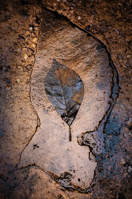 ...оставшийсяphoto preview