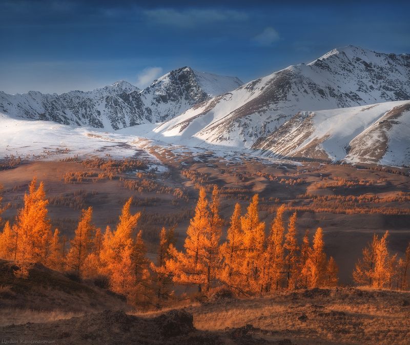 курай, курайский хребет, чуя, чуйский тракт, алтай, осень, горы, россия, russia, mountain, altai, autumn Осенний Алтайphoto preview