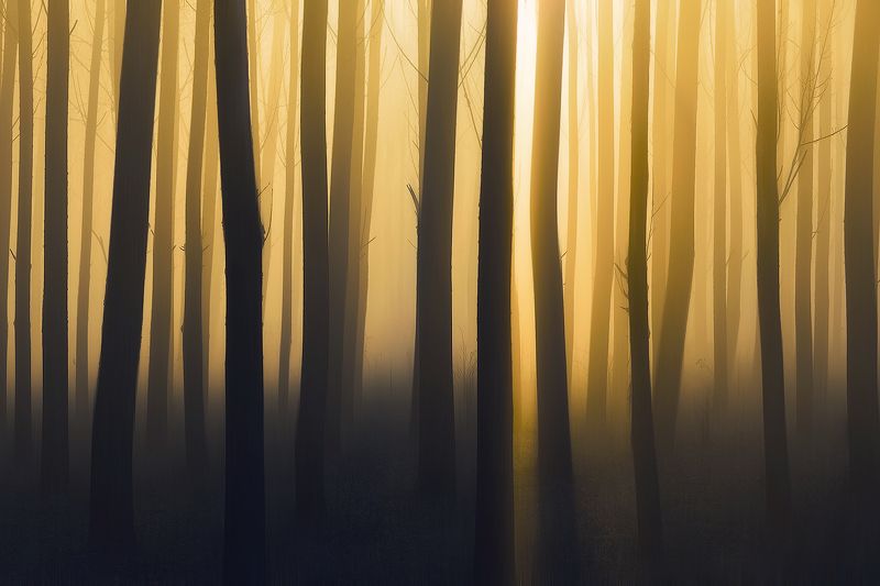 Romaniaphoto preview