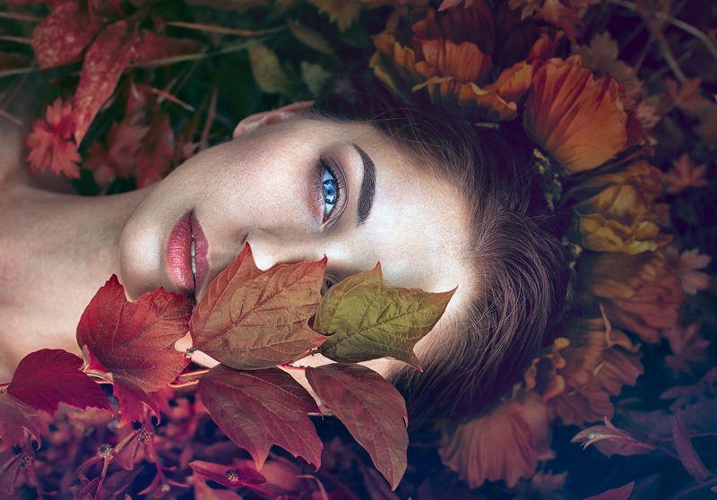 blue eyes, portrait, autumn Blue eyesphoto preview