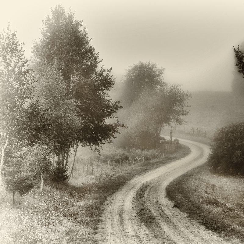 черно-белое Tveraiphoto preview