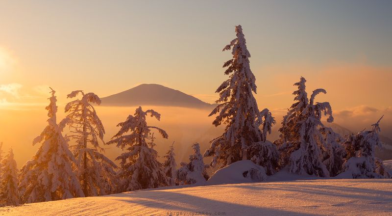 Карпаты, Украина, пейзаж, природа, горы, зима, лес, landcape, nature, ukraine, carpathians Гора Стрымбаphoto preview