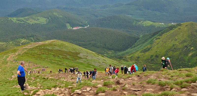 карпаты, июнь, восхождение, горы Паломникиphoto preview