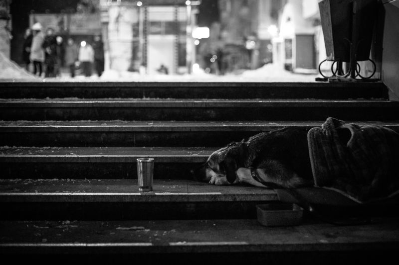 Просящая photo preview