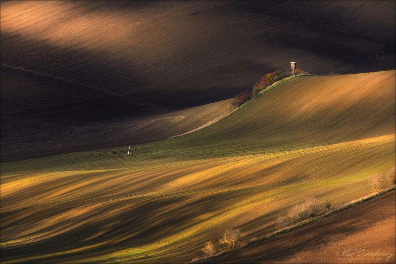 чехия, южная моравия, morava, осень, линии, свет, геометрия, south moravian, czech, chiaroscuro, light, Благодатная земля ..photo preview