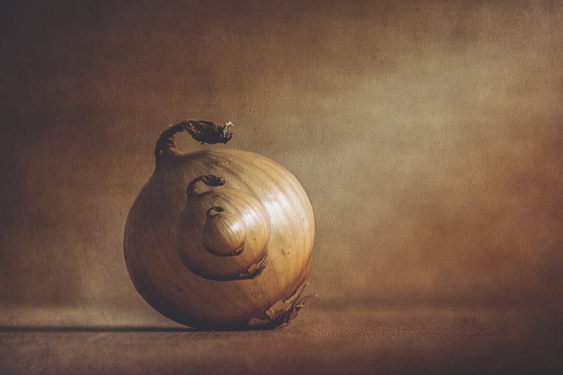 ...луковый лукphoto preview