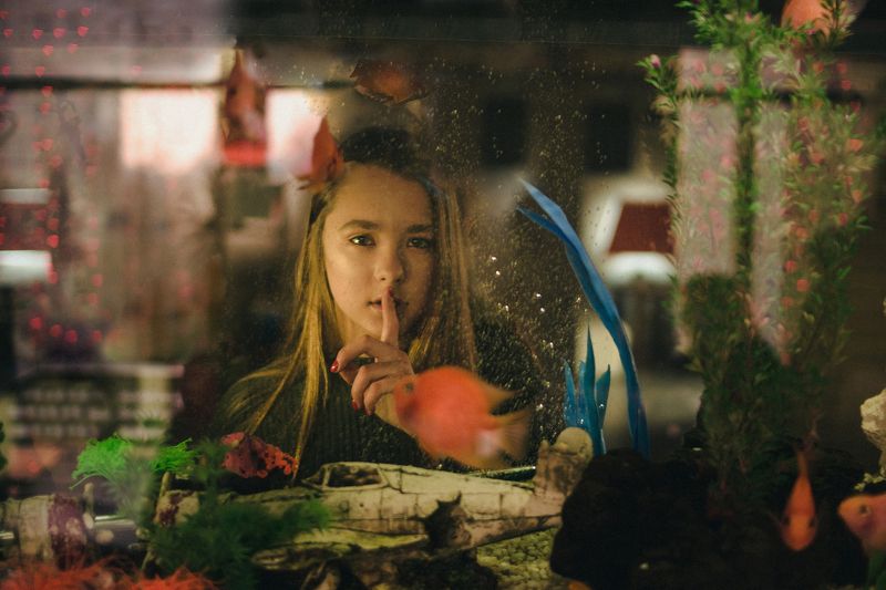 Aquariumphoto preview