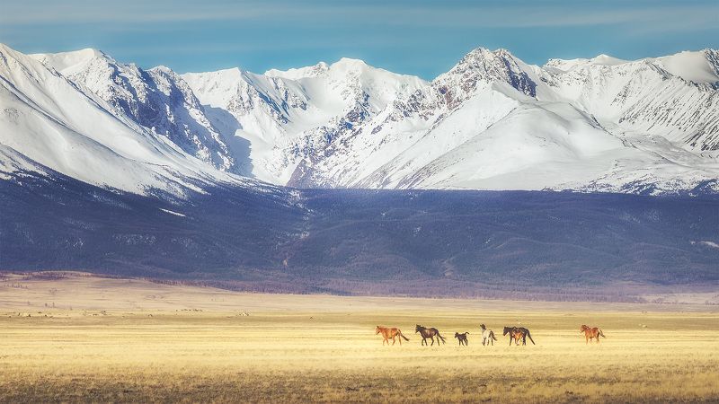 Под весенним солнцем Алтаяphoto preview