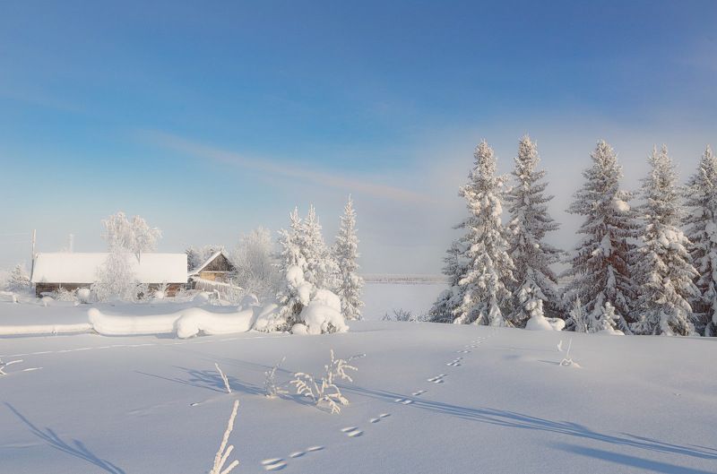 север,деревня,природа,глубинка,зима,краски,печора,коми Утро в глубинкеphoto preview