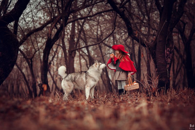 Красная Шляпочкаphoto preview