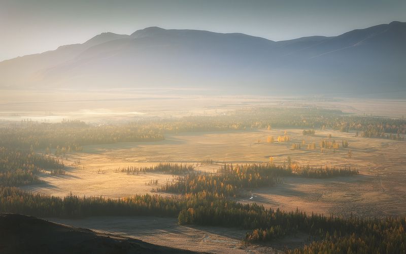 Утренний светphoto preview