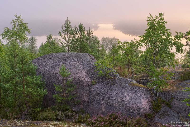 ладога,пейзаж,природа,утро,рассвет,гора,берег,россия,озеро,туман,скалы,камни,шхеры,лето Ладожское туманное утроphoto preview