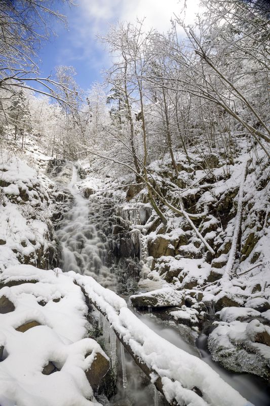 apuseni,winter,water,snow,trees,sky,waterfall, Saritoarea Waterfallsphoto preview