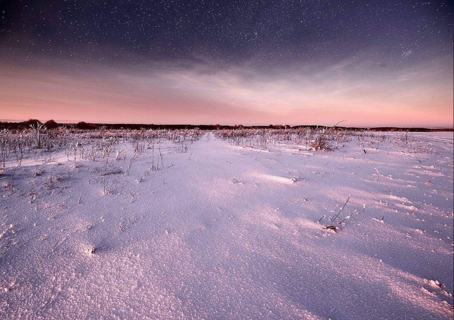 Снежная Пустыня. Автор: Каревский Дмитрий , Каревский Дмитрий