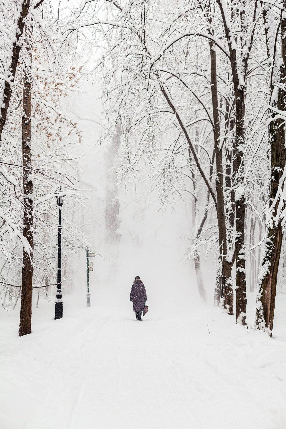 Автор: Дара Пилюгина , Дара Пилюгина
