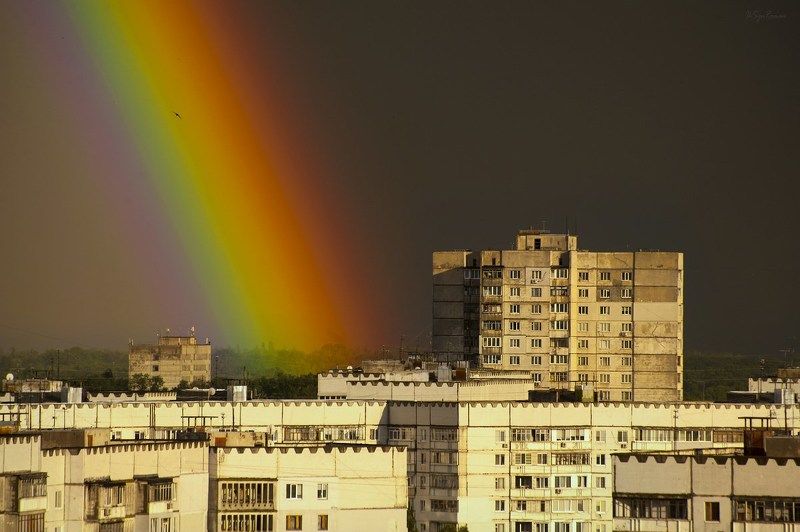 радуга,птица Иду на радугу грозу ...photo preview