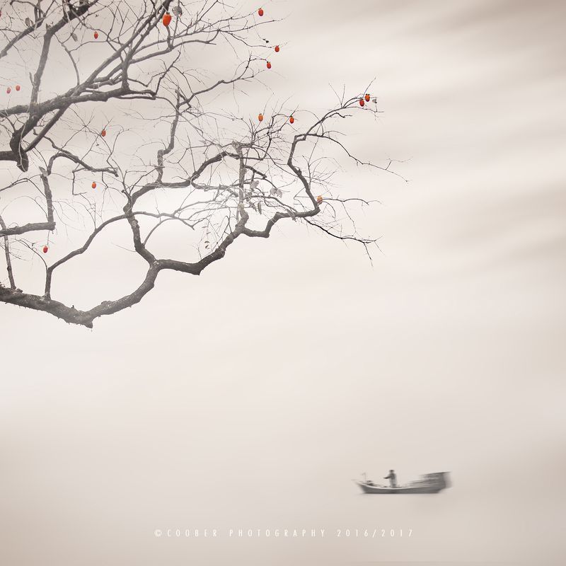 风光,旅行,温州,慢门,极简 柿子红了photo preview