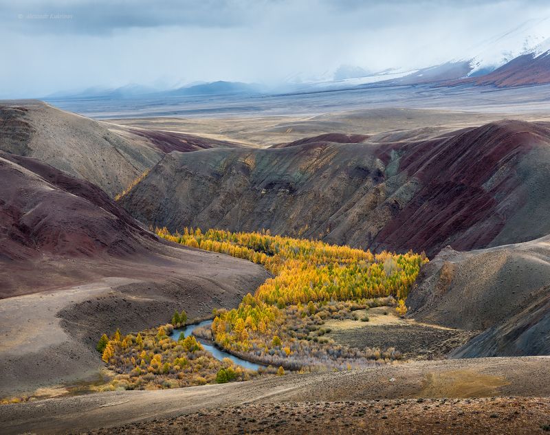 пейзаж, алтай, осень, кызыл-шин Долина реки Кызыл-Шин, Горный Алтай, сентябрь 2017. фото превью