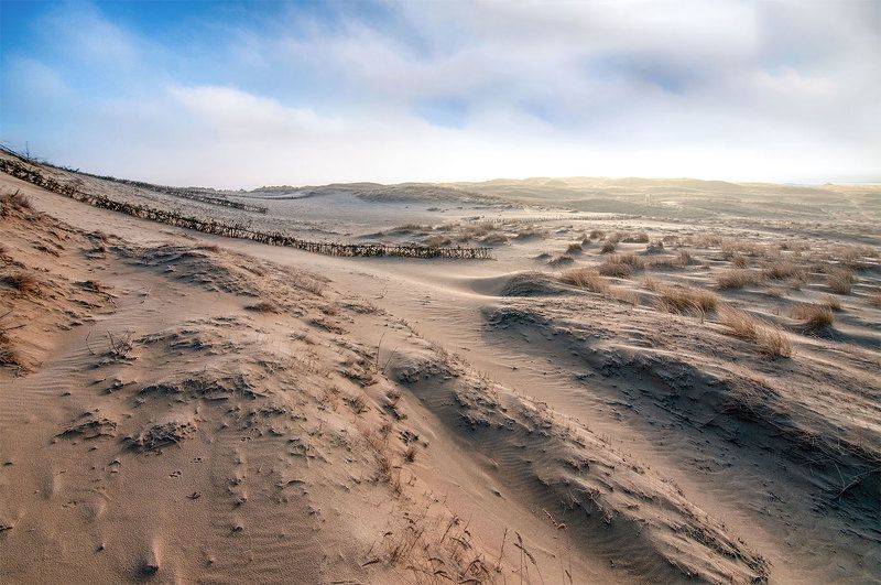 dunes,neringa,lithuania White dunes in Nidaphoto preview