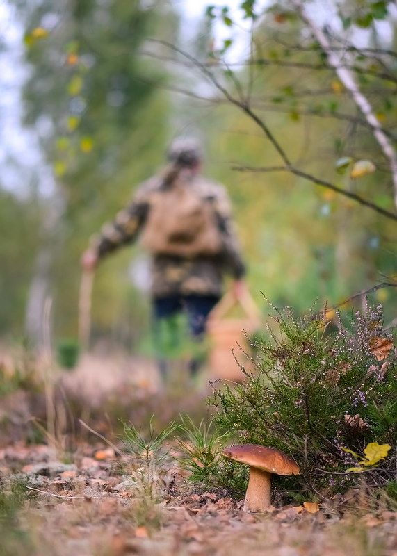 Партизанphoto preview