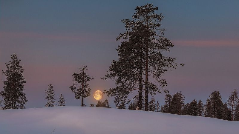 север,ночь,природа,луна,зима,краски,печора,коми Предрассветная,уходящая лунаphoto preview