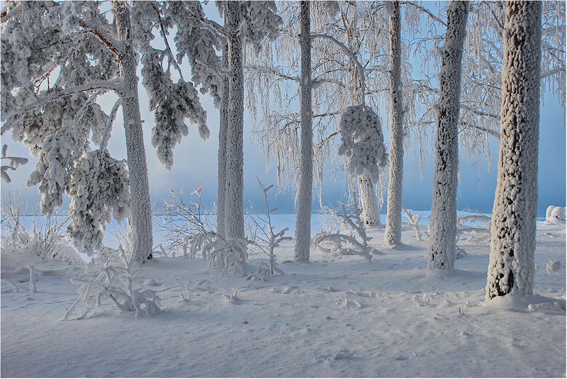 Снежное безмолвие...photo preview