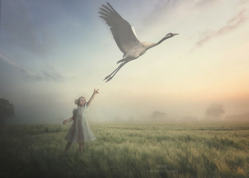 журавль, девочка, ребенок, поле, деревня, утро, рассвет, Маргарита Гусева, Margarita Guseva, лето, восход, туман Журавликphoto preview