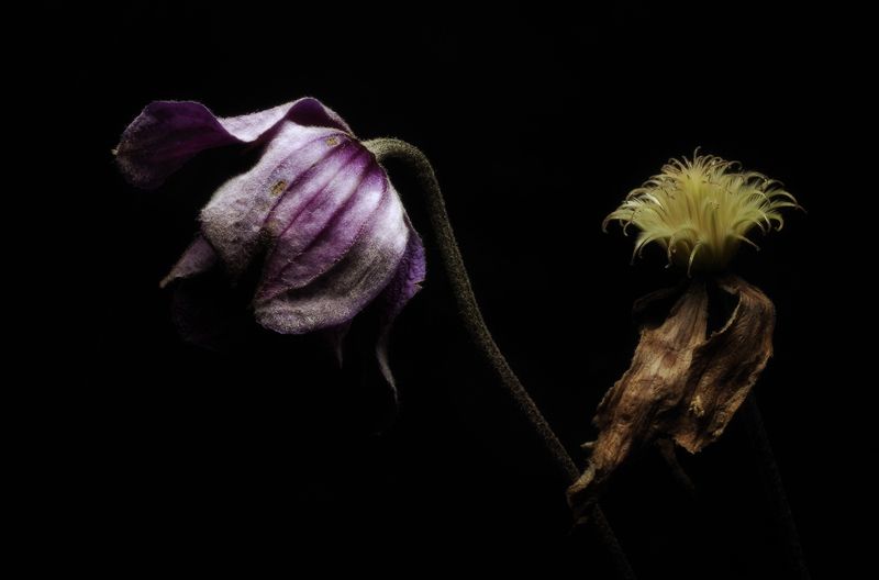 Уже не мил...photo preview