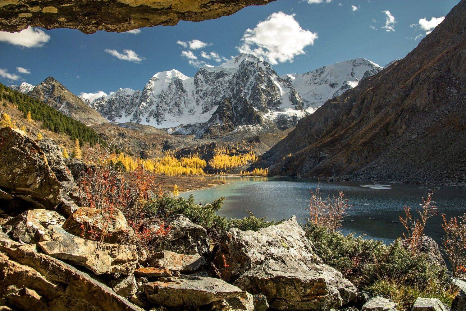 на Шавлинских осень золотая.... Автор: Алексей Кретов алтай,осень, Алексей Кретов